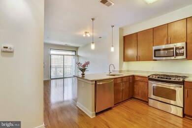 8005 13th St unit 303, Silver Spring, MD 20910 - photo 7