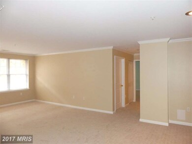 4800 Coyle Rd unit 102, Owings Mills, MD 21117 - photo 6