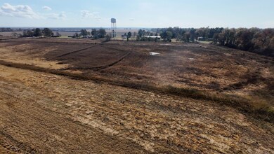 681 Main St, Knobel, AR 72435 - photo 7