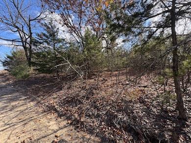 27 Thelma Rd, Eufaula, OK 74432 - photo 4