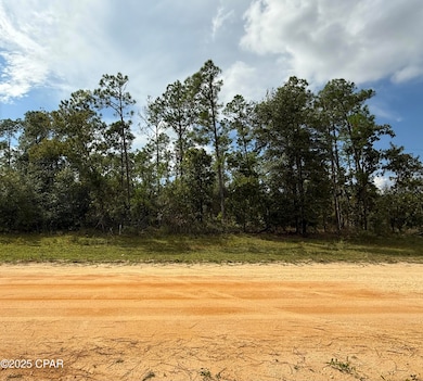 0000 Jefferson Ave, Alford, FL 32420 - photo 2