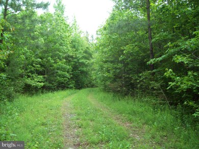 0 Flat Iron Rd unit 1002227986, Warsaw, VA 22572 - photo 2