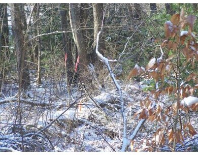 581 Depot St, North Easton, MA 02356 - photo 3