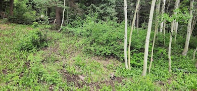 454 Mccoy Creek Dr, Durango, CO 81301 - photo 5