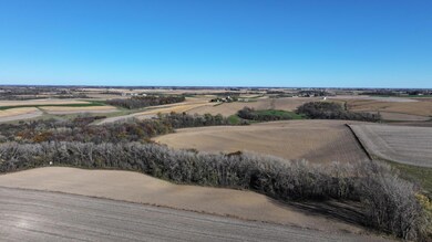 TBD County 10, Caledonia Township, MN 55921 - photo 6