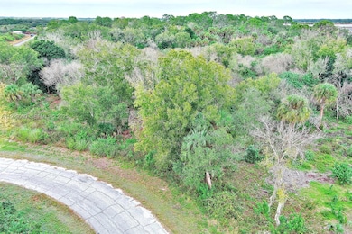 173 Carousel Ave, Fort Denaud, FL 33935 - photo 4