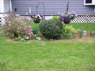 Pocket Garden