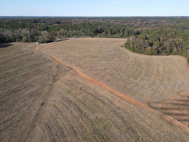 19800 Tervin Mill Rd, Andalusia, AL 36421 - photo 3