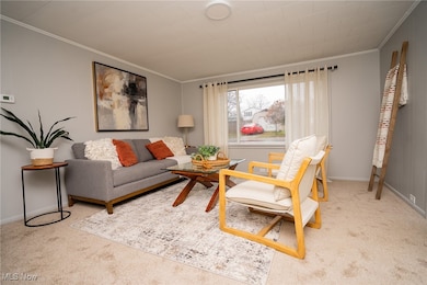 457 Cherry Fork Ave, Leetonia, OH 44431 - photo 6