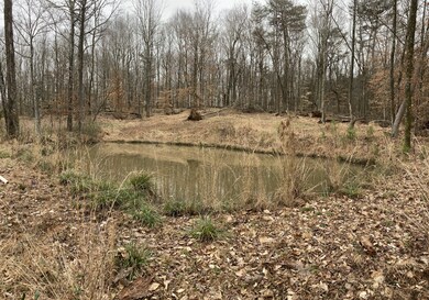 131 Hurricane Creek Dr, Tennessee Ridge, TN 37178 - photo 5