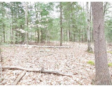 17 Jennison Rd, Wendell, MA 01379 - photo 4