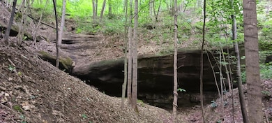 CT-3