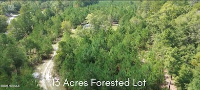 16369 Palmer Rd, Marston, NC 28363 - photo 2