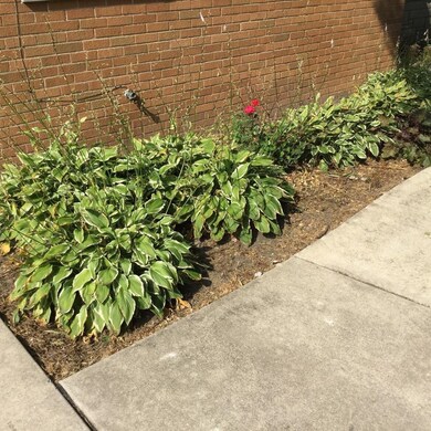 539 215th St, Dyer, IN 46311 - photo 2