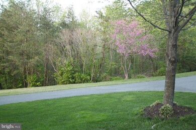 21 New Bedford Ct, Stafford, VA 22554 - photo 7