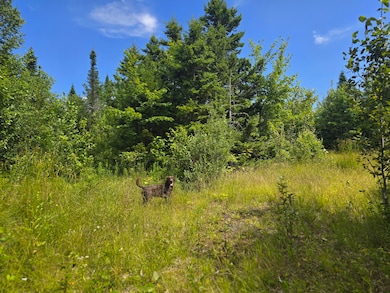 L 5 Ackley Pond Rd, Mount Chase, ME 04765 - photo 6