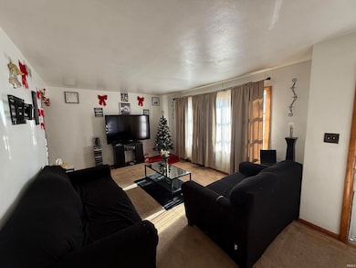 2117 Vassar Ave, South Bend, IN 46628 - photo 4