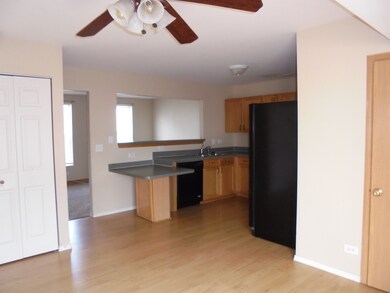 211 W Washington St unit 3253, Oswego, IL 60543 - photo 4