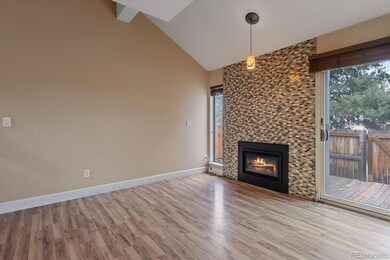 Gas fireplace replaced in 2022