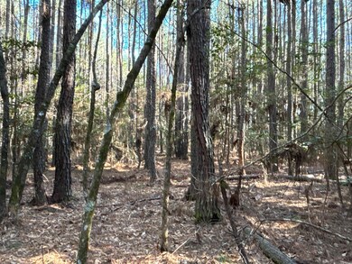 1 W Dallas County Line 20, Sparkman, AR 71763 - photo 4