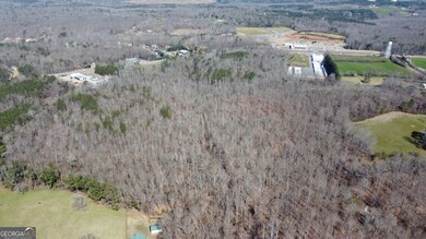 0 Beavers Rd unit 10510358, Canton, GA 30115 - photo 2