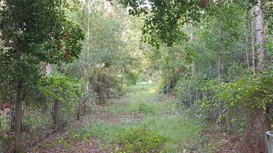 Driveway view