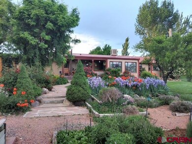 12800 Eckert Estates Rd, Eckert, CO 81418 - photo 6