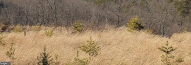Lot 284 Ridge View Rd, Old Fields, WV 26836 - photo 5