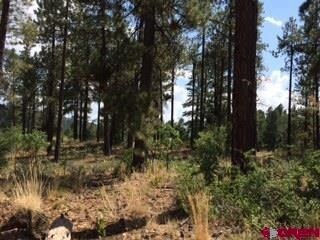 0 Calico Trail unit 696702, Durango, CO 81301 - photo 5