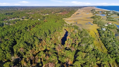 711 Jan Savage Way, Edisto Island, SC 29438 - photo 4