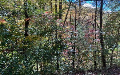 Additional View