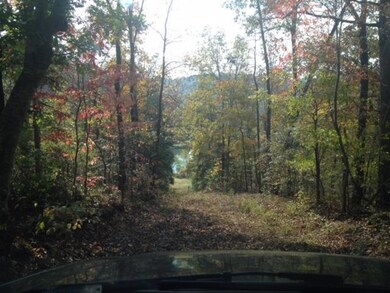 Recreational activities, hunting or 'just taking in natue on a leisure walk'...YOU will enjoy these beautiful acres of WOODLANDS