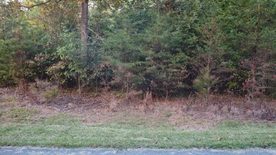 0 Hidden River Ln unit RTC2574947, Sparta, TN 38583 - photo 5