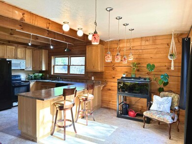 3979 Taylor Ranch Way, Loon Lake, WA 99148 - photo 3