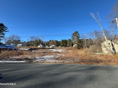 103 Stearns Ave, Pittsfield, MA 01201 - photo 4