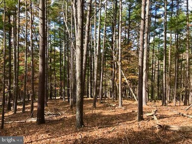 0 Moyers Gap Road (Stuffle Run) unit WVPT2000384, Sugar Grove, WV 26815 - photo 3
