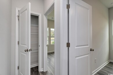 Hall with dark wood-type flooring