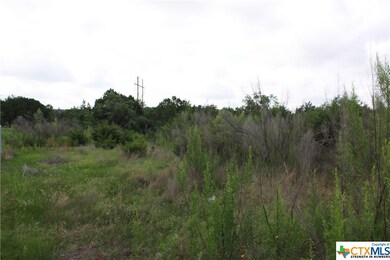 2404 Big Divide Rd, Copperas Cove, TX 76522 - photo 5