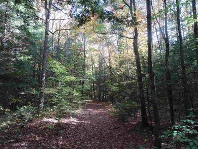 725 Southview Dr, Richmond, VT 05477 - photo 6