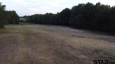 TBD Tbd Cr 233, Arp, TX 75750 - photo 2