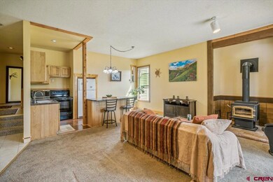 37 Valley View Dr unit 3136, Pagosa Springs, CO 81147 - photo 3