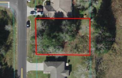 TBD Walnut Rd, Ocala, FL 34480 - photo 2