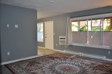 4198 Packard St unit 1, Ann Arbor, MI 48108 - photo 6