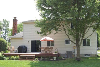 Rear View