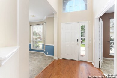 10641 Black Horse, Helotes, TX 78023 - photo 5