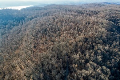 0 Long Hollow Rd unit RTC2366265, Cookeville, TN 38501 - photo 2