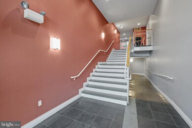 343 Cedar St NW unit 103, Washington, DC 20012 - photo 5