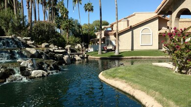 Patio View