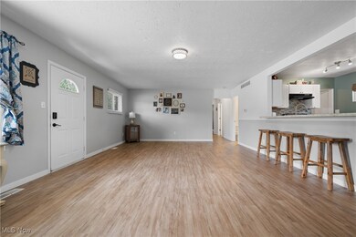 3510 Ivanhoe Dr, Kent, OH 44240 - photo 5