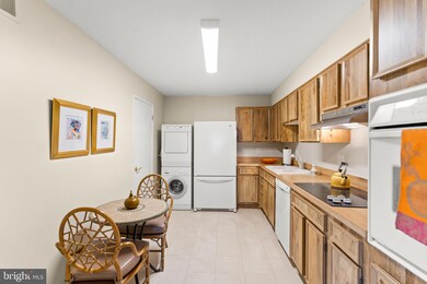 5901 Mount Eagle Dr unit 812, Alexandria, VA 22303 - photo 5